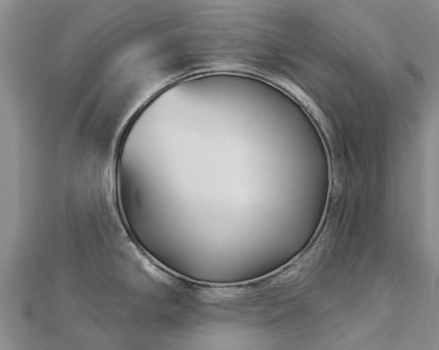 X0000113001294200909031245