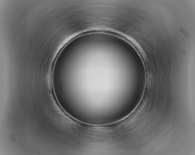 X0000113001295200909031245