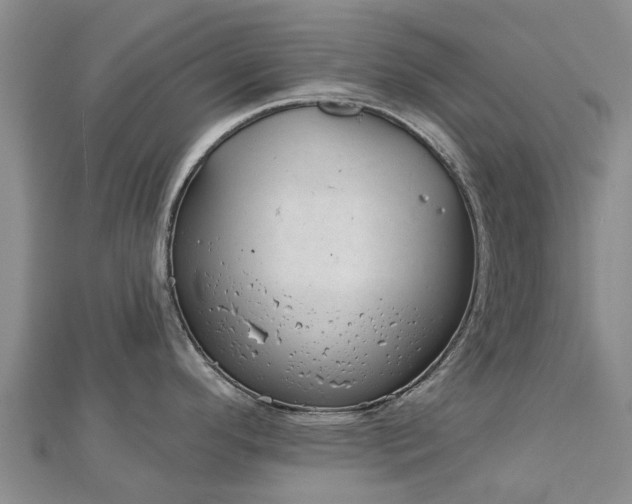 X0000113001296200909031245