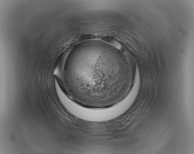 X0000113001298200909031245