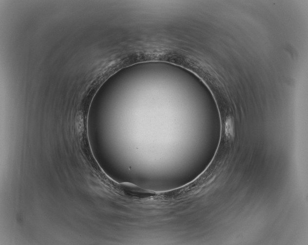 X0000113001299200909031245