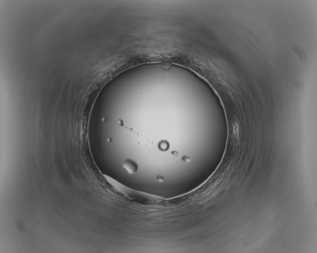 X0000113001300200909031245