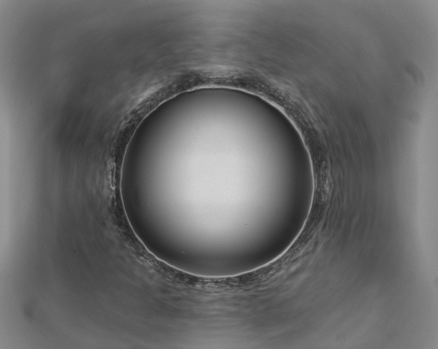 X0000113001301200909031245