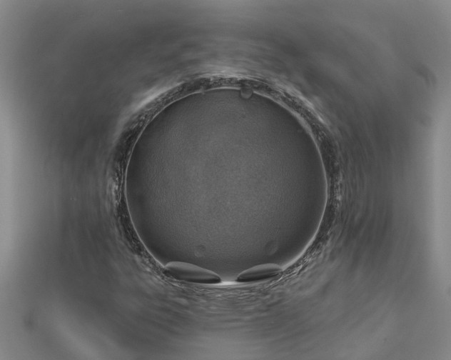 X0000113001303200909031245