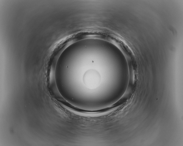 X0000113001304200909031245