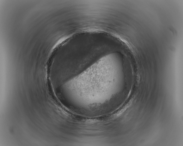 X0000113001306200909031245