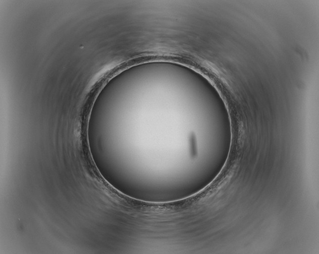 X0000113001307200909031245