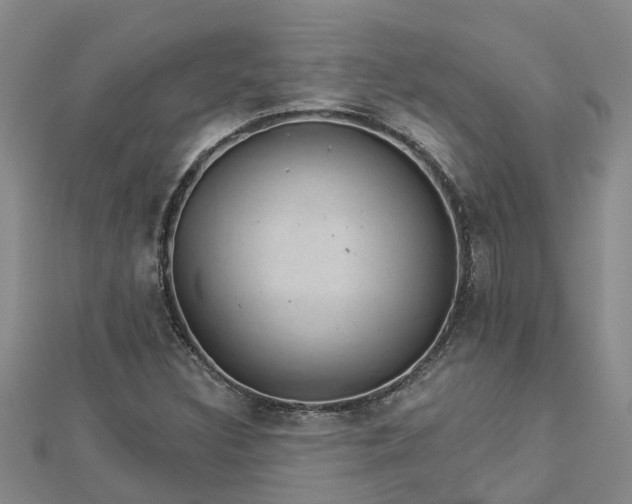 X0000113001308200909031245