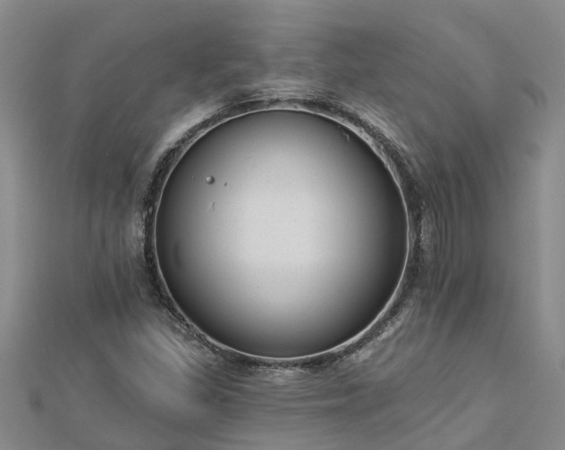 X0000113001309200909031245