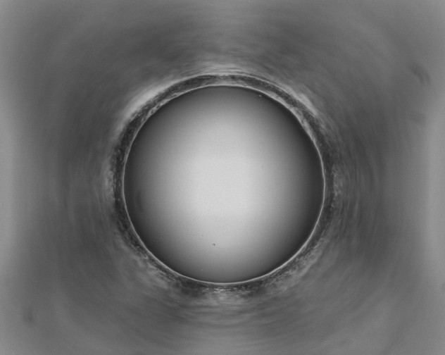 X0000113001311200909031245