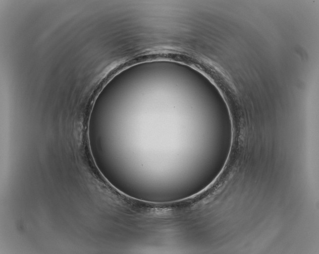 X0000113001313200909031245