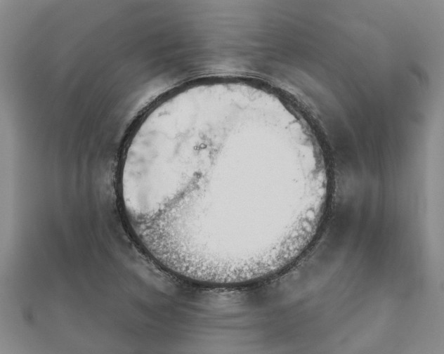 X0000113001314200909031245