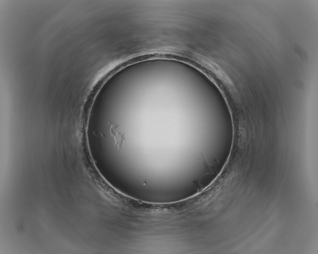 X0000113001316200909031245