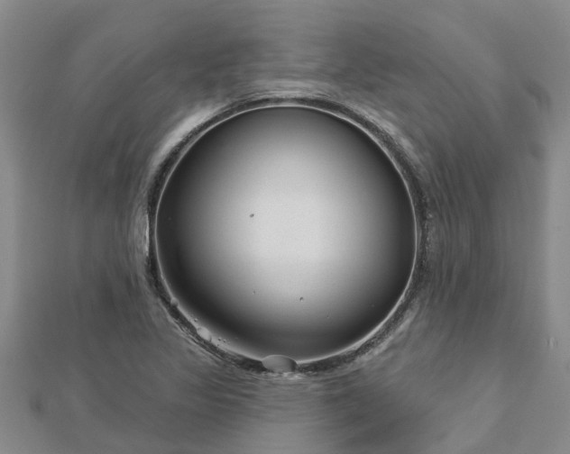 X0000113001317200909031245