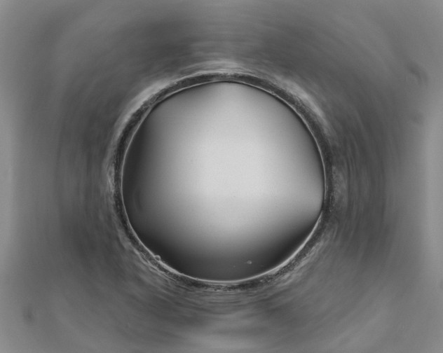 X0000113001318200909031245