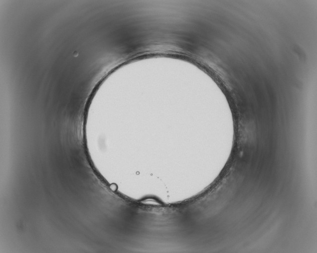 X0000113001322200909031245