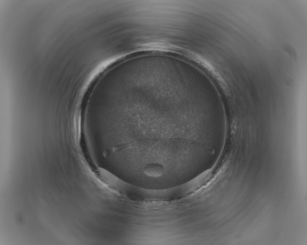 X0000113001323200909031245