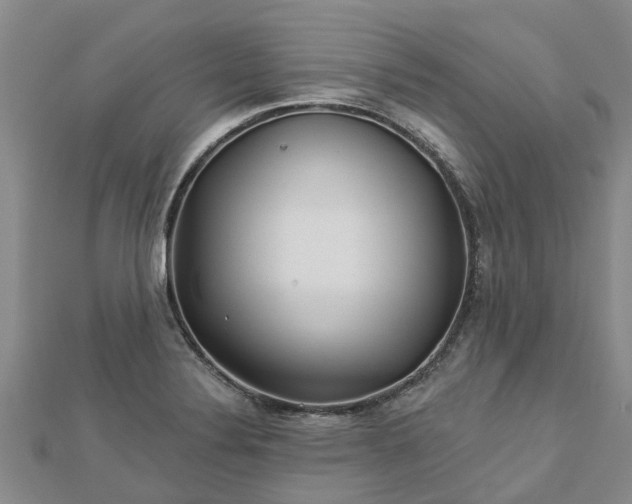 X0000113001324200909031245