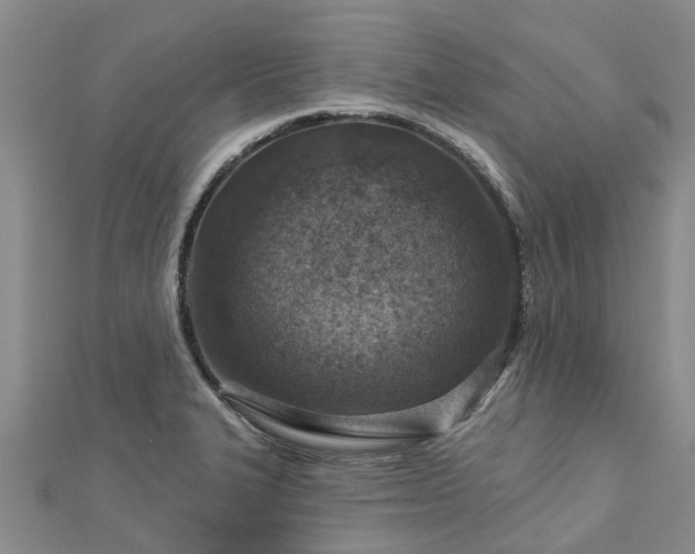 X0000113001327200909031245