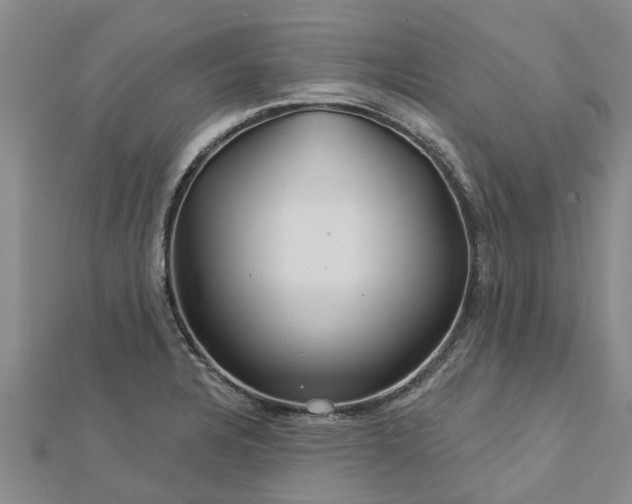 X0000113001328200909031245