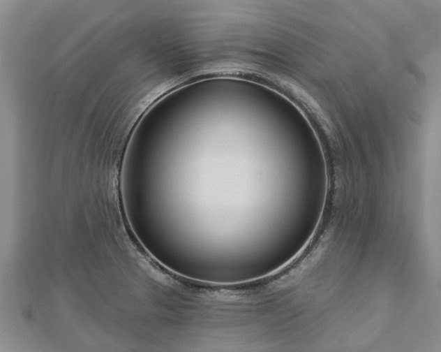 X0000113001329200909031245