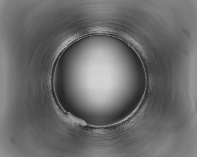 X0000113001330200909031245