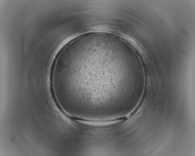 X0000113001331200909031245