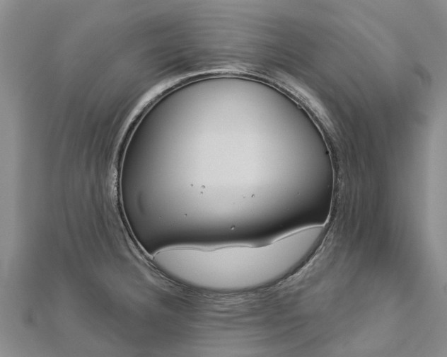 X0000113001332200909031245