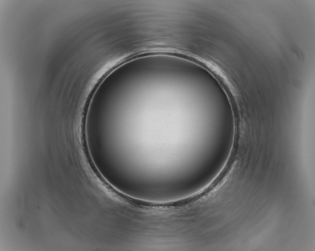 X0000113001333200909031245