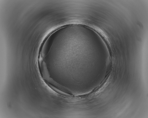 X0000113001334200909031245