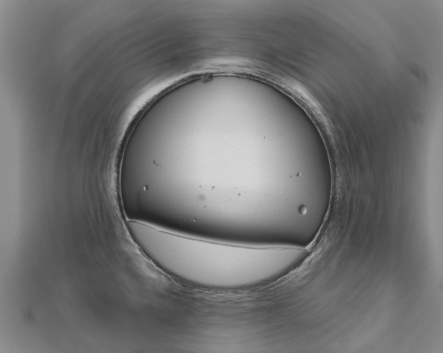 X0000113001336200909031245