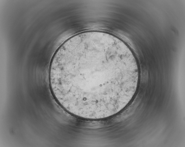 X0000113001338200909031245