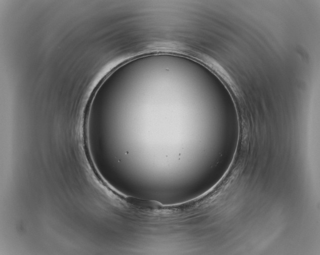 X0000113001339200909031245