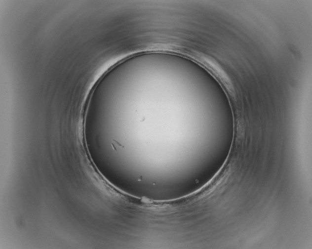 X0000113001340200909031245