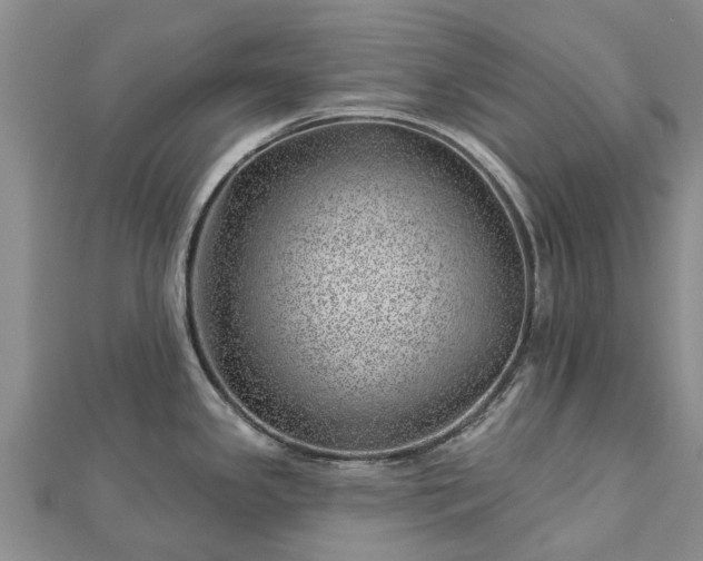 X0000113001341200909031245