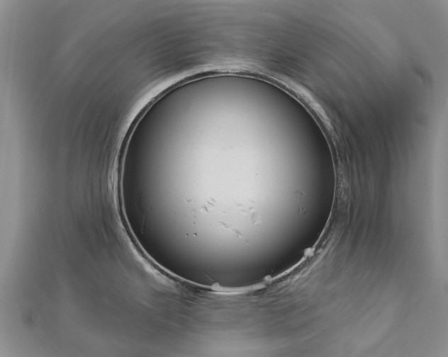 X0000113001343200909031245