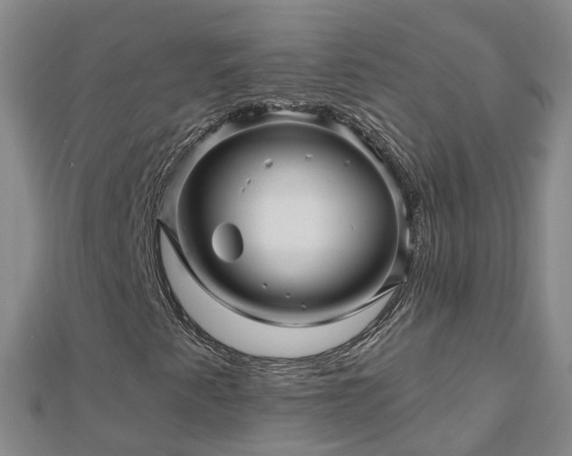 X0000113001345200909031245