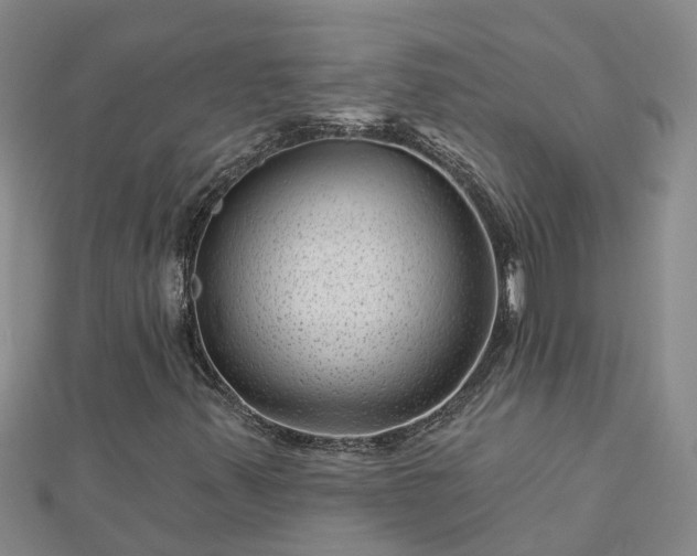 X0000113001347200909031245