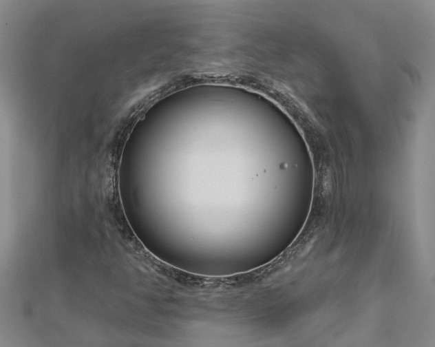 X0000113001350200909031244