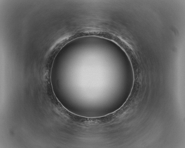 X0000113001351200909031244