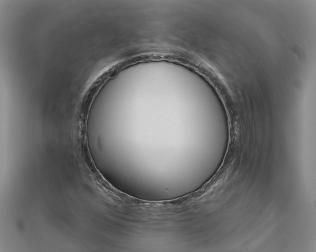 X0000113001352200909031244