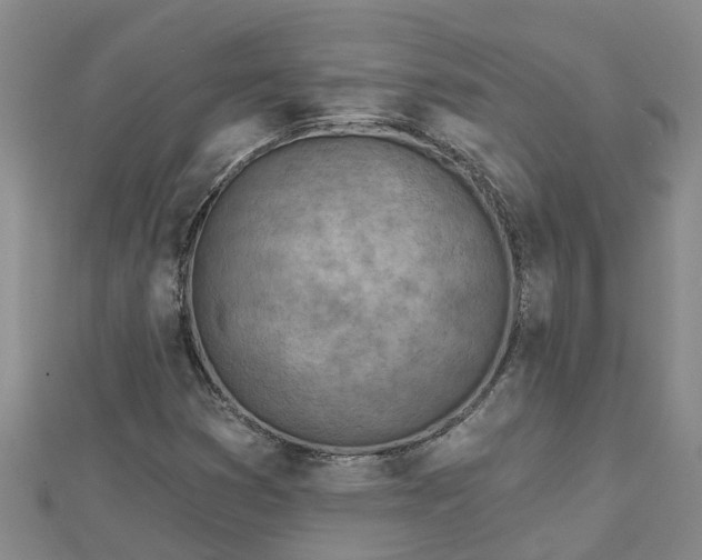 X0000113001353200909031244