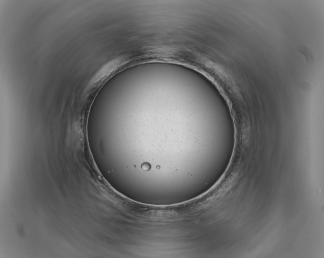 X0000113001354200909031244