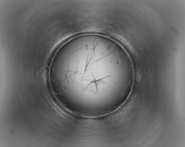 X0000113001356200909031244