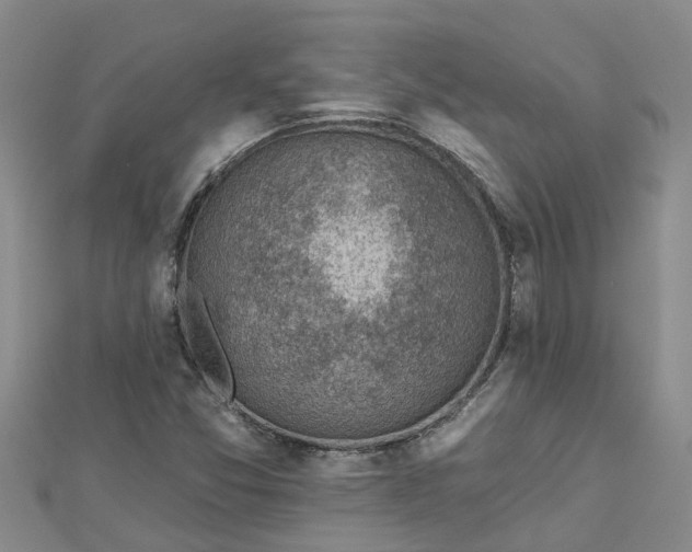 X0000113001357200909031244