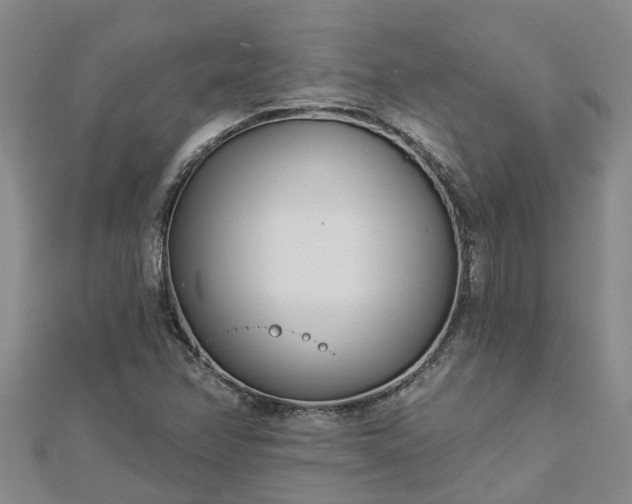 X0000113001358200909031244