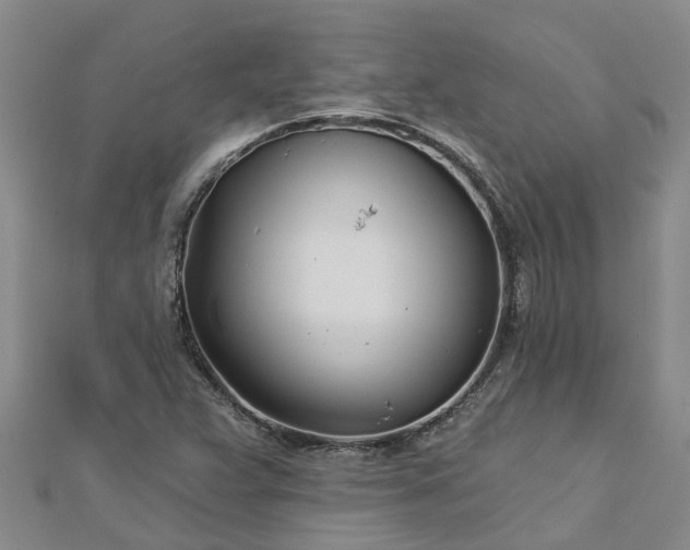 X0000113001359200909031244