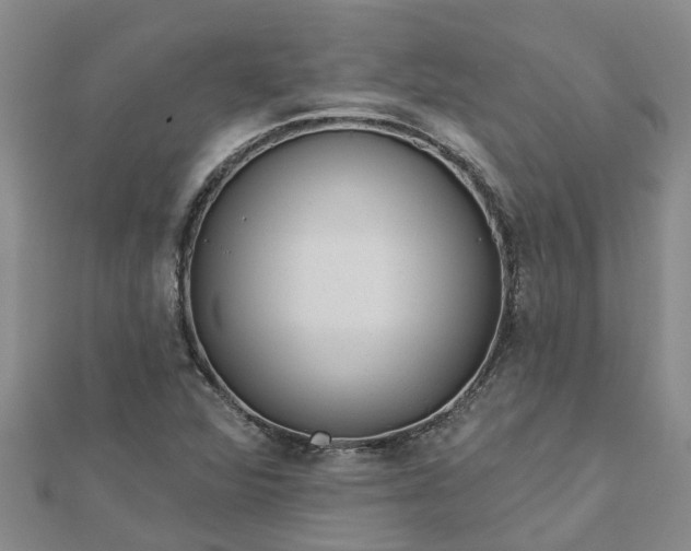 X0000113001360200909031244