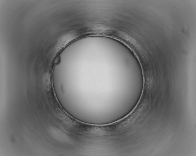 X0000113001362200909031244