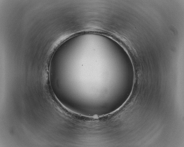 X0000113001363200909031244